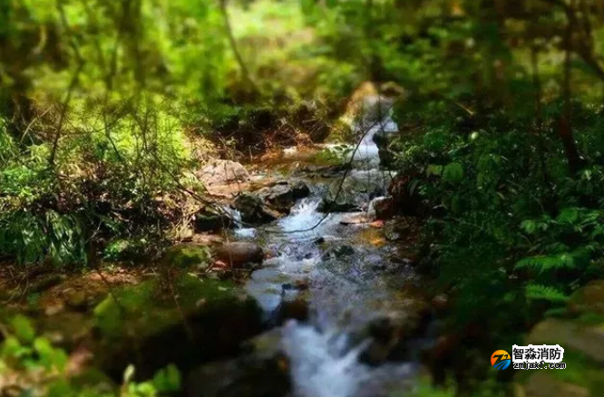 1675305597124976.png image.png